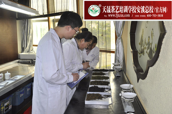 第145期：评茶员审评实操考核(图1)