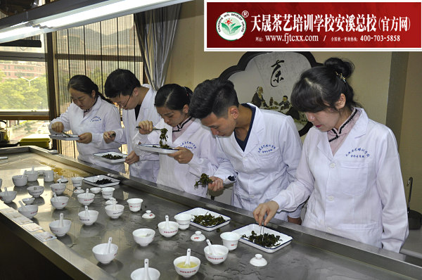 第145期：评茶员审评实操考核(图4)