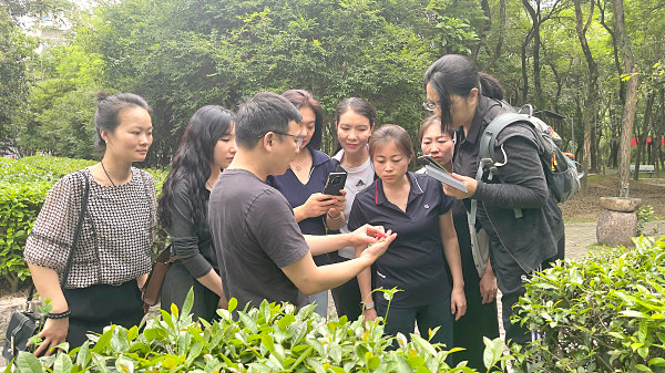 第194期：参观安溪八马茶叶百茶园(图3)