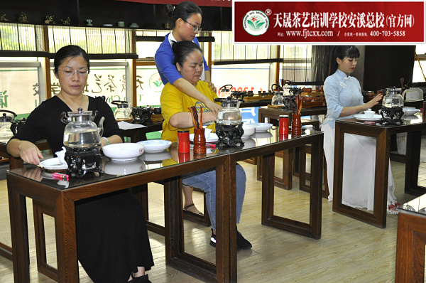 第159期：安溪茶艺之茶具展示学习(图3)