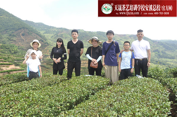 第159期：实践体验安溪乌龙茶制作(图1)