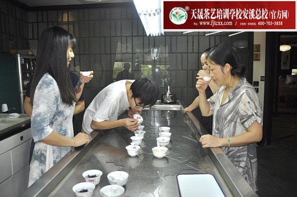 第159期：绿茶的加工与审评、绿茶实践审评(图3)