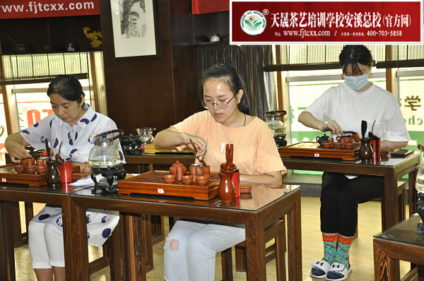 第160期：台湾十八道茶艺分段训练、名茶品鉴之西湖龙井、黄山毛峰、信阳毛尖(图3)