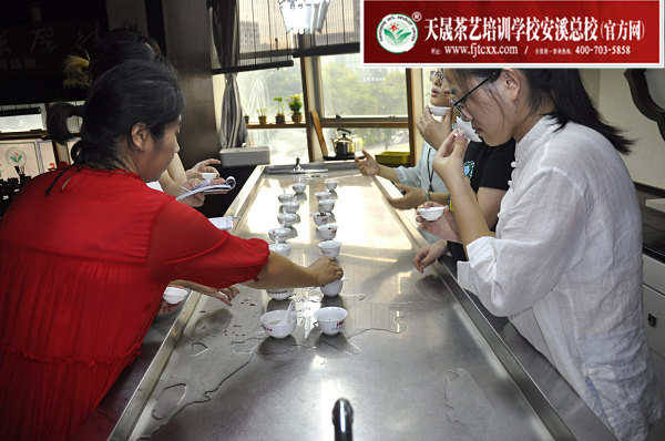 第160期：福鼎白茶的加工与审评、白茶实践审评(图3)