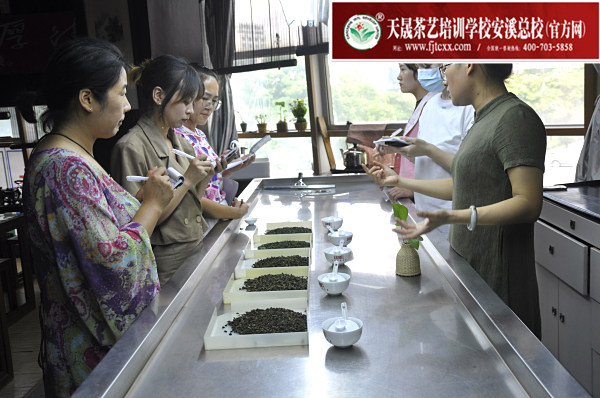 第160期：安溪铁观音初制工艺以及毛茶品质特征(图2)