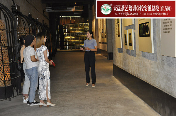 第160期：参观安溪铁观音茶史博物馆(图2)