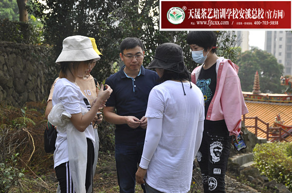 第160期：参观安溪茶叶大观园(图3)