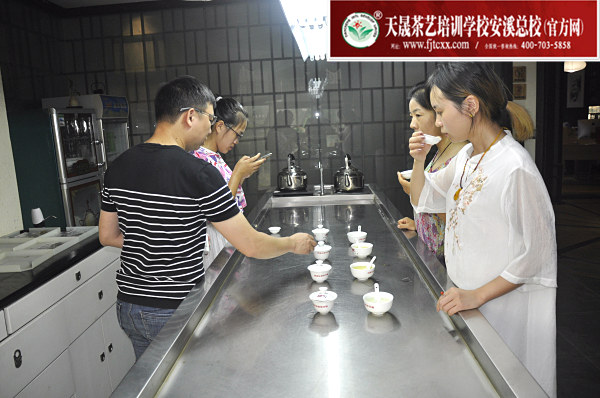 第160期：绿茶的加工与审评、绿茶实践审评(图2)