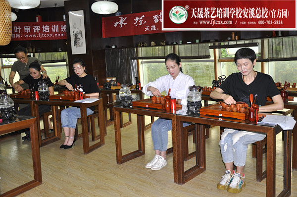 第161期：台湾十八道茶艺分段讲解与训练、茶艺坐姿训练(图3)