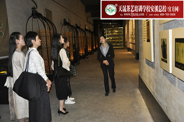 第161期：参观安溪铁观音茶史博物馆(图2)