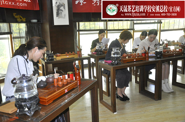 第162期：台湾十八道茶艺分段讲解与训练、茶艺坐姿训练(图1)