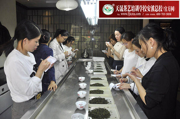 第162期：安溪铁观音初制工艺以及毛茶品质特征(图2)