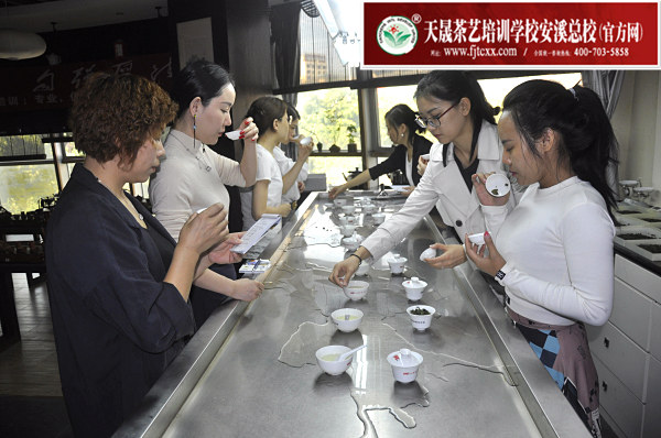 第162期：安溪铁观音初制工艺以及毛茶品质特征(图3)