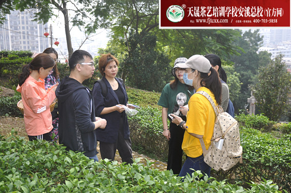 第162期：参观安溪茶叶大观园(图3)