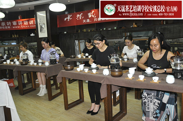 第162期：茶修之行茶十式分段讲解与训练(图2)