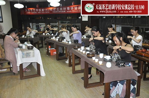 第162期：茶修之行茶十式分段讲解与训练(图3)