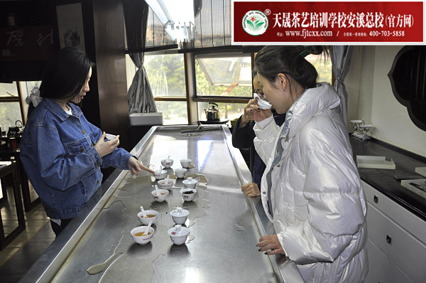 第171期：武夷岩茶的加工与审评、武夷岩茶实践审评(图3)