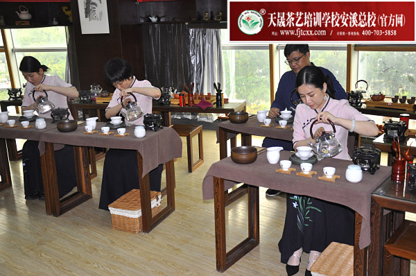 第175期：茶修之行茶十式表演考核