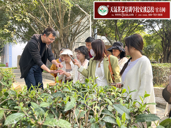 第182期：参观安溪茶叶大观园(图1)