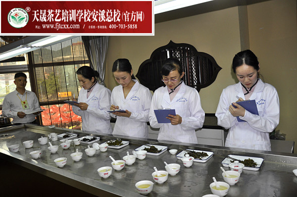 茶学系统培训班指的是什么样的培训班?(图3) 茶学系统培训班指的是什么样的培训班?(图3)