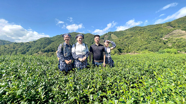 第197期：实践体验安溪乌龙茶制作