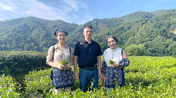 第200期：实践体验安溪乌龙茶制作
