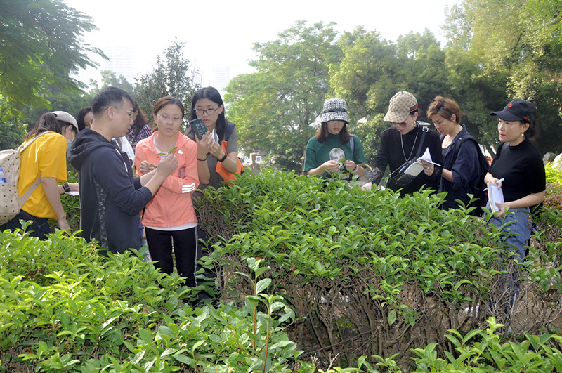 有初级茶艺师培训课程吗