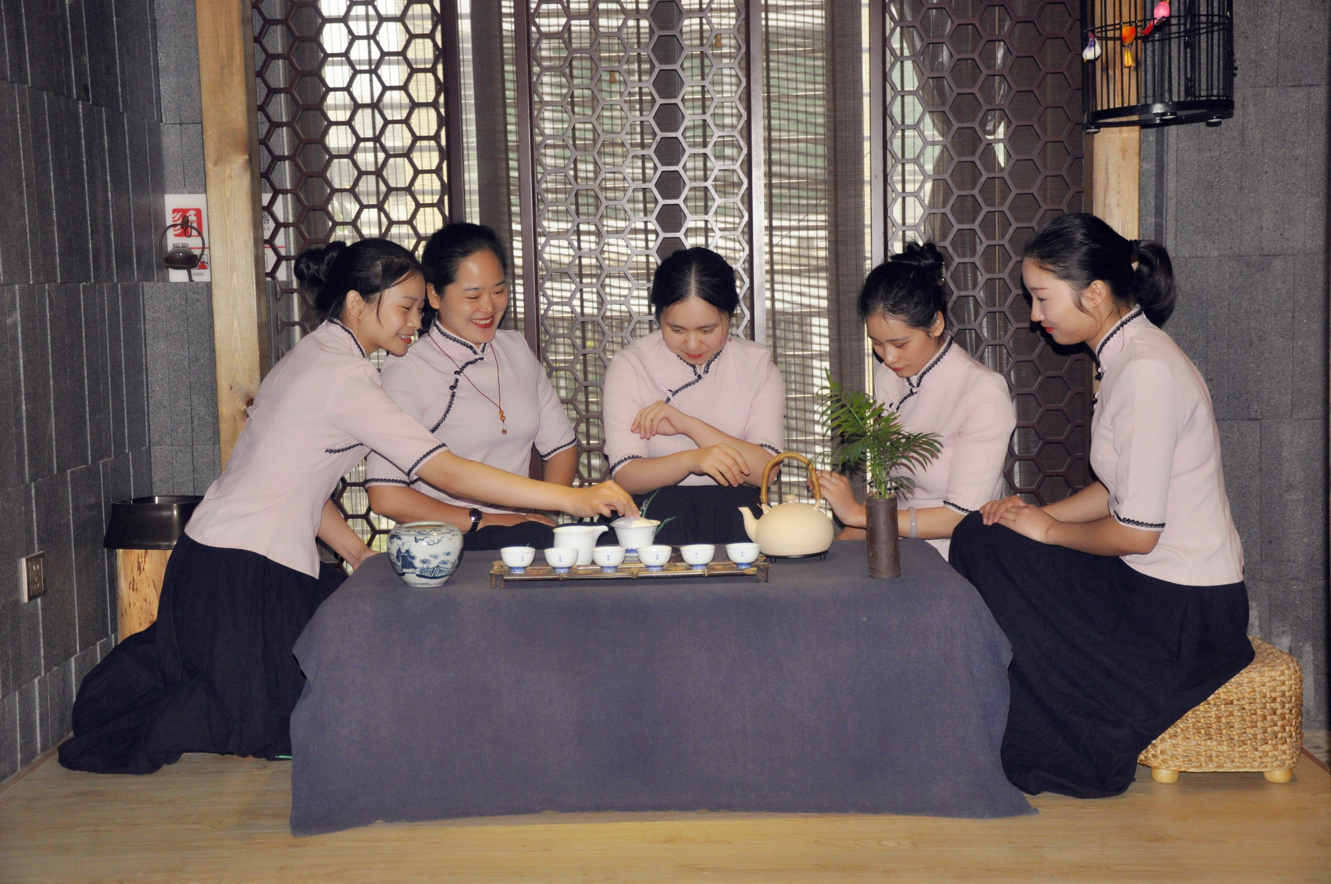 厦门天晟茶艺培训学校学什么