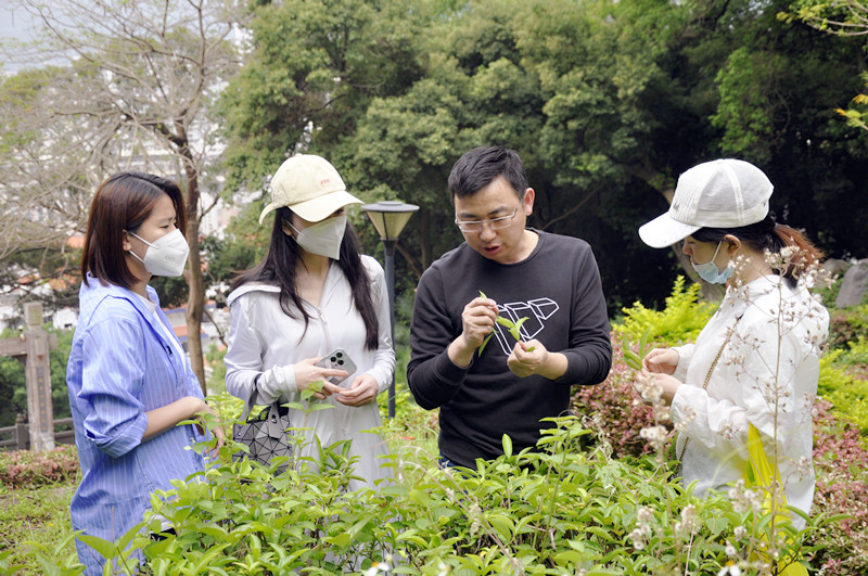 天晟茶艺培训学校12月份有课吗