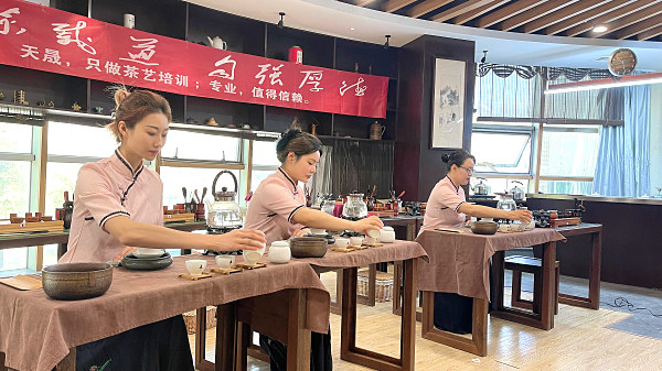 学茶艺哪里有培训(图4)