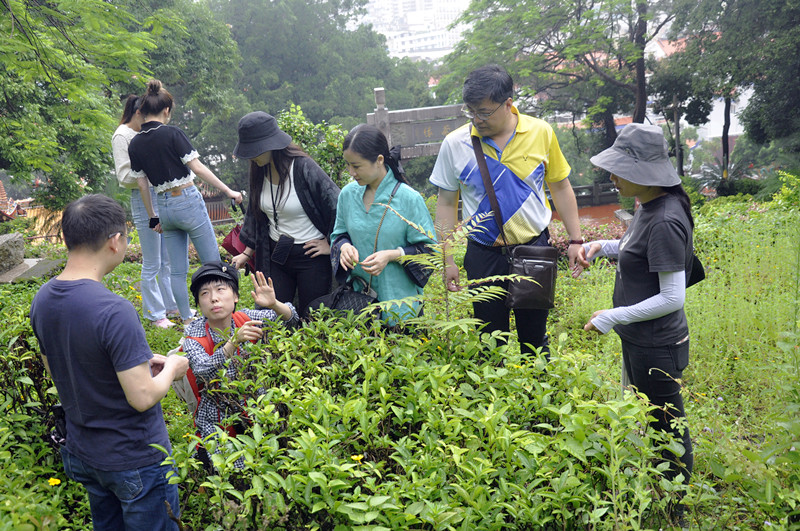 茶艺师一般要学多久才能考证