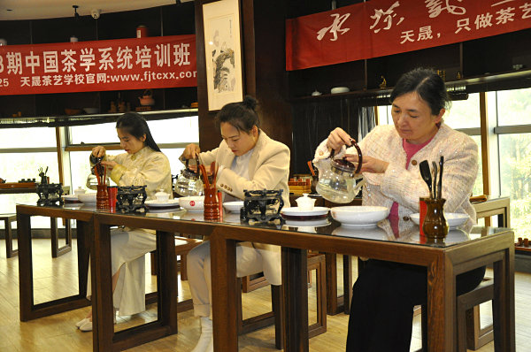 第203期：安溪茶艺之茶具展示学习(图2)