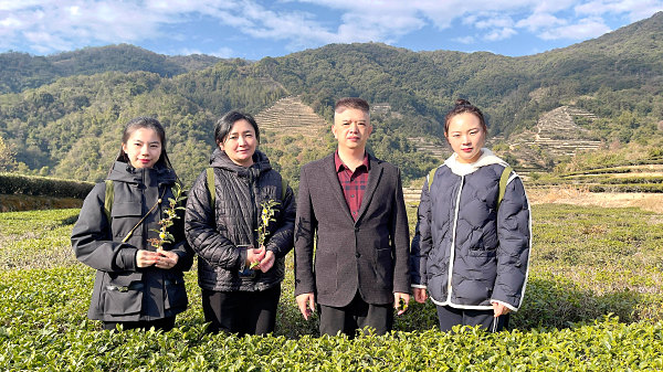 第203期：实践体验安溪乌龙茶制作