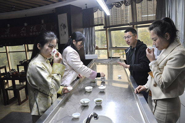 第203期：绿茶的加工与审评、绿茶实践审评(图2)