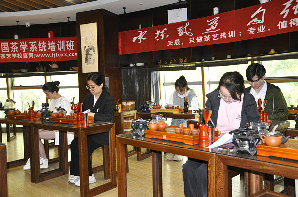 免费茶艺培训班，助力当地文旅发展。是真的吗?