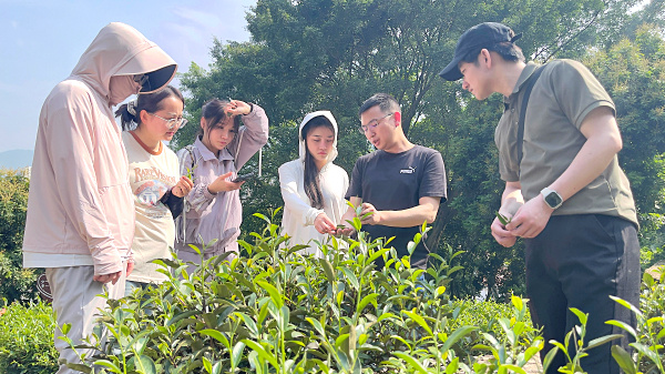 天晟茶艺培训学校能学到什么?