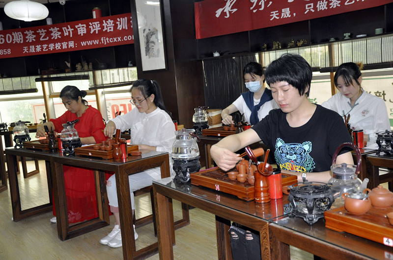 免费学茶艺 福建有没有?