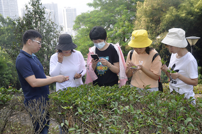 成都茶艺师培训哪家好?全国茶艺学校哪家专业? 