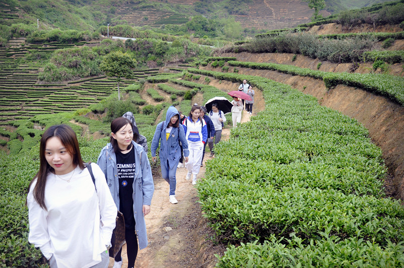 茶艺培训招生简章(图10)
