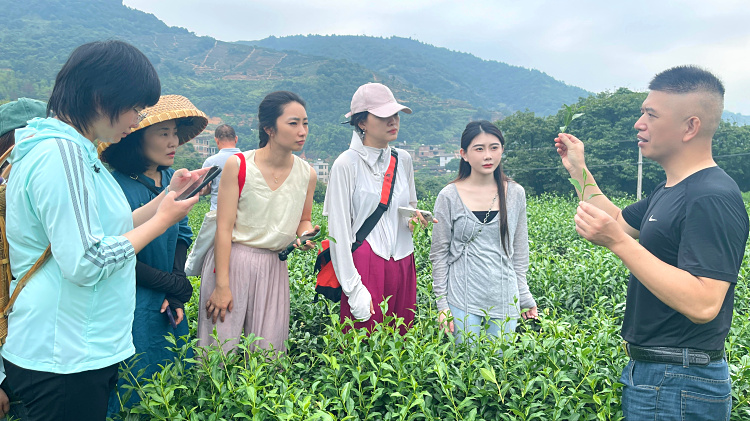 零基础茶艺培训多少钱?