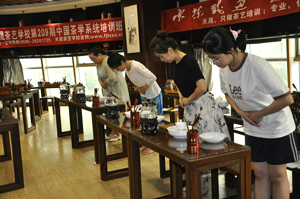 第209期：安溪茶艺之茶具展示学习(图2)