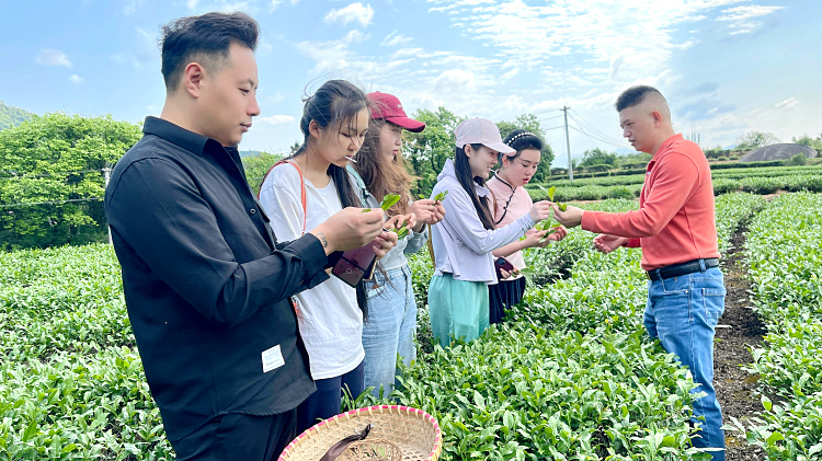 天晟茶艺培训学校10天茶艺师培训班火热了吗?(图4) 天晟茶艺培训学校10天茶艺师培训班火热了吗?(图4)