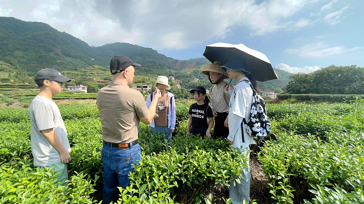 天晟茶艺培训学校是否有茶艺与健康养生结合的课程？(图1)