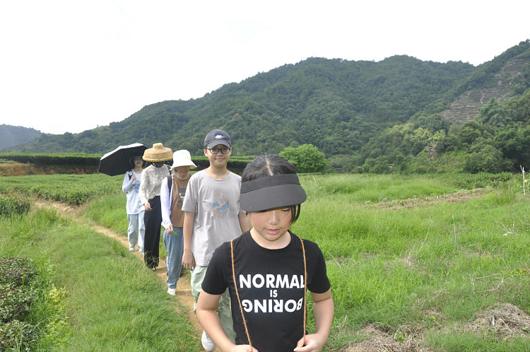 天晟茶艺培训学校课程是否包括茶叶市场营销策略？(图2)