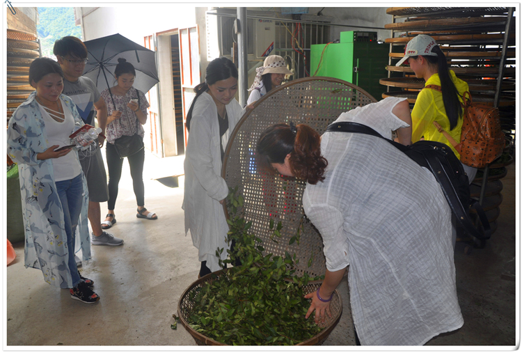 泉州茶道师培训需要多少钱? 12980元一分不少(图2)