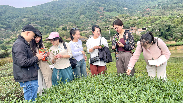 茶艺培训招生简章(图10) 茶艺培训招生简章(图10)