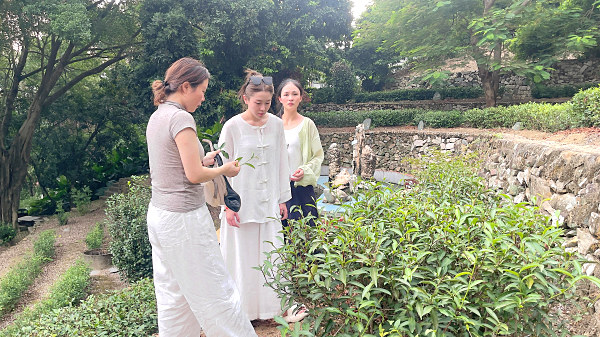 第212期:参观茶叶大观园(图2) 第212期:参观茶叶大观园(图2)