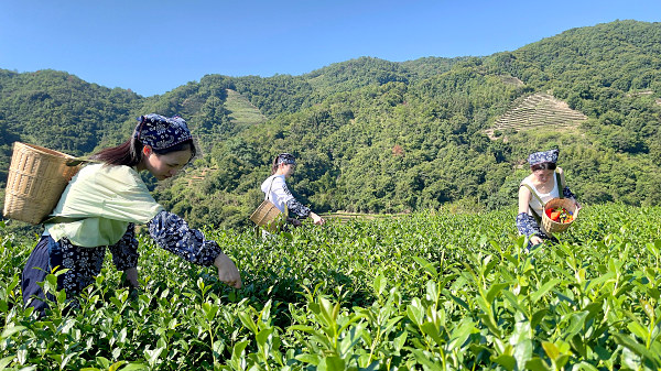 第214期报名截止公告