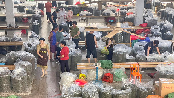 第212期：深入茶叶市场了解行情及闽北乌龙茶的加工与审评(图1)