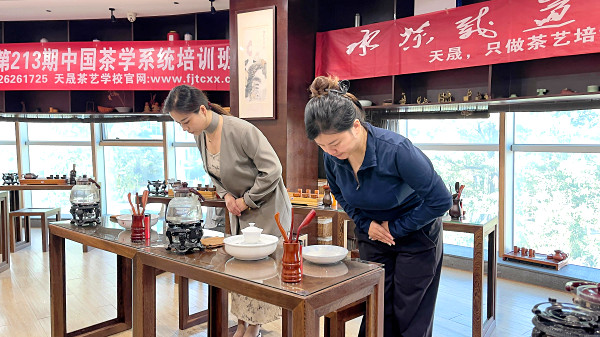 第213期：安溪茶艺之茶具展示学习(图2)